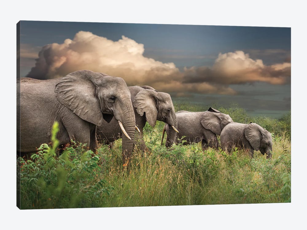 Elephants On Parade by Patsy Weingart 1-piece Canvas Artwork