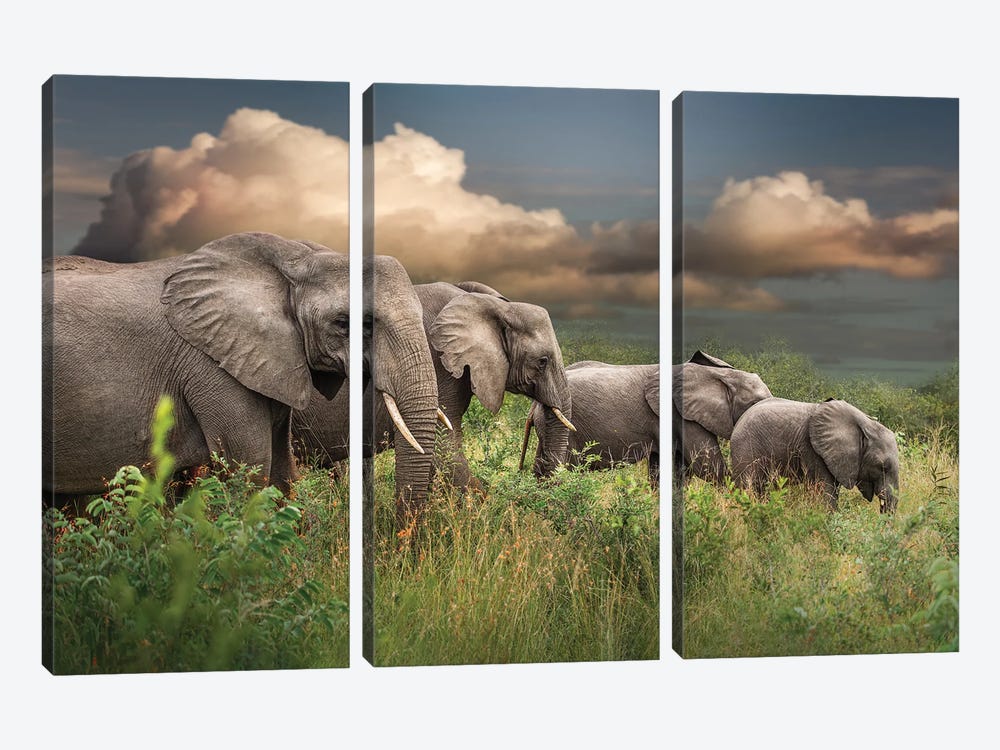 Elephants On Parade by Patsy Weingart 3-piece Canvas Art