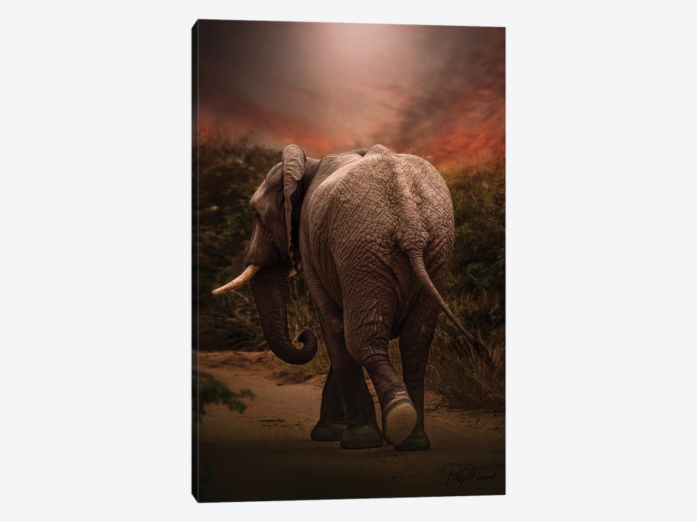 Sunset Elephant by Patsy Weingart 1-piece Canvas Art Print