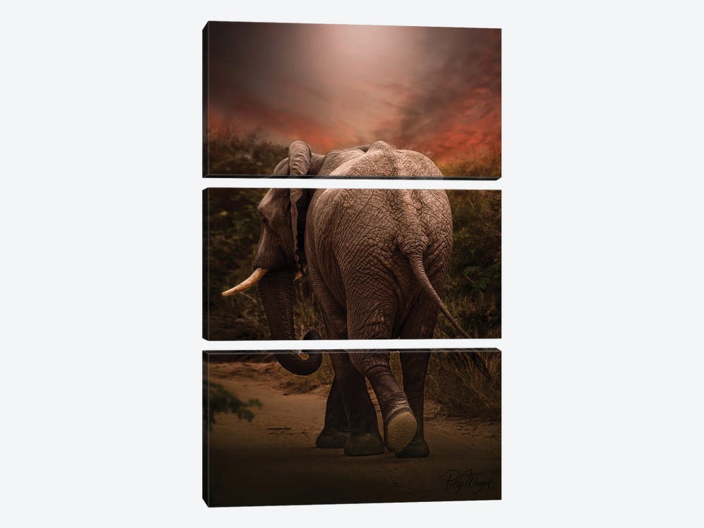 Sunset Elephant by Patsy Weingart 3-piece Canvas Print