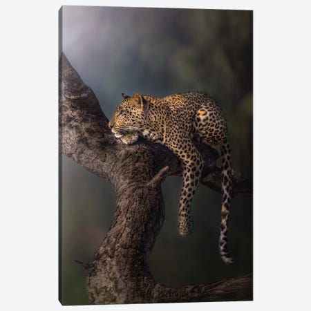 Leopard In The Mist Canvas Print #PWG9} by Patsy Weingart Canvas Artwork