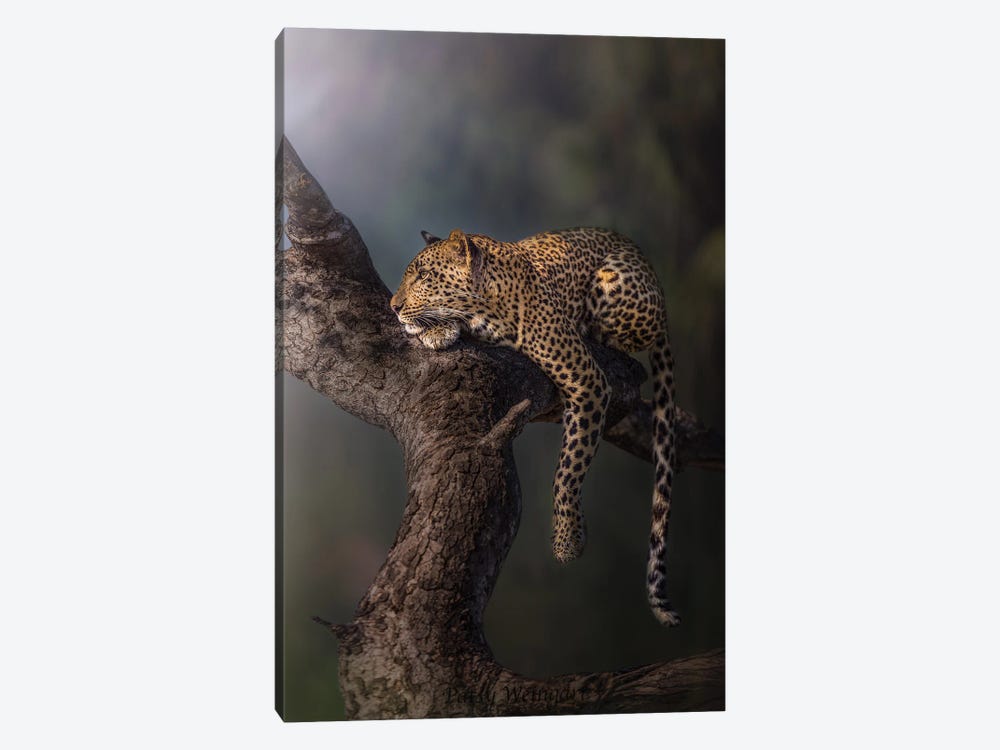 Leopard In The Mist by Patsy Weingart 1-piece Canvas Art Print