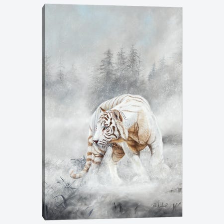 Snow Tiger Canvas Print #PWI100} by Peter Williams Canvas Art Print