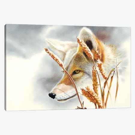 Song Dog Canvas Print #PWI102} by Peter Williams Canvas Art Print