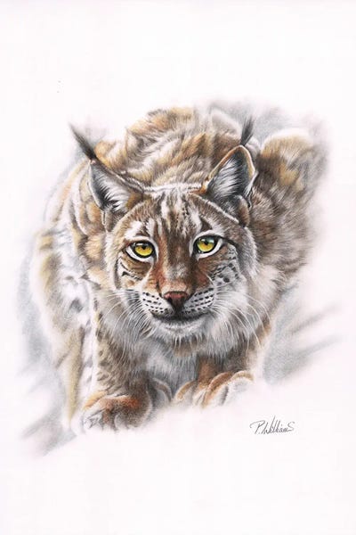 Spirit Of Siberia by Peter Williams canvas print