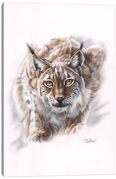 Spirit Of Siberia Canvas Art Print - Lynx