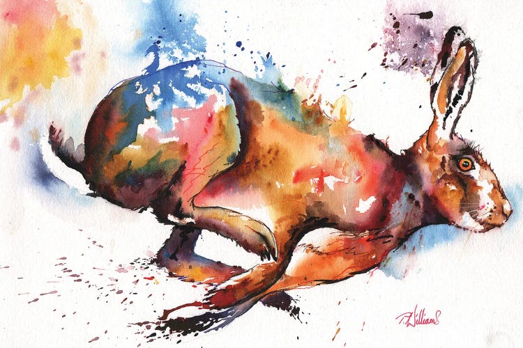 Splash And Dash by Peter Williams wall art