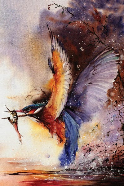 Splashes Of Colour by Peter Williams canvas print