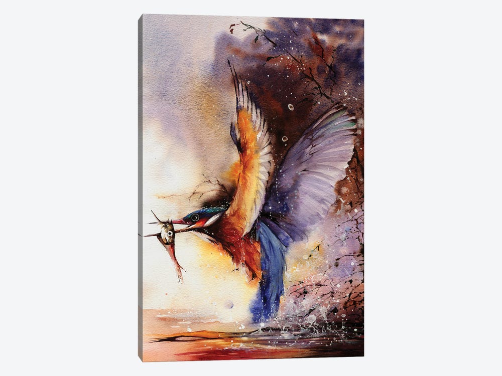 Splashes Of Colour by Peter Williams 1-piece Canvas Print