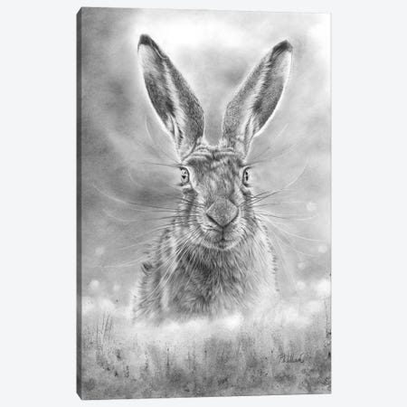 Spring Hare Canvas Print #PWI106} by Peter Williams Canvas Art
