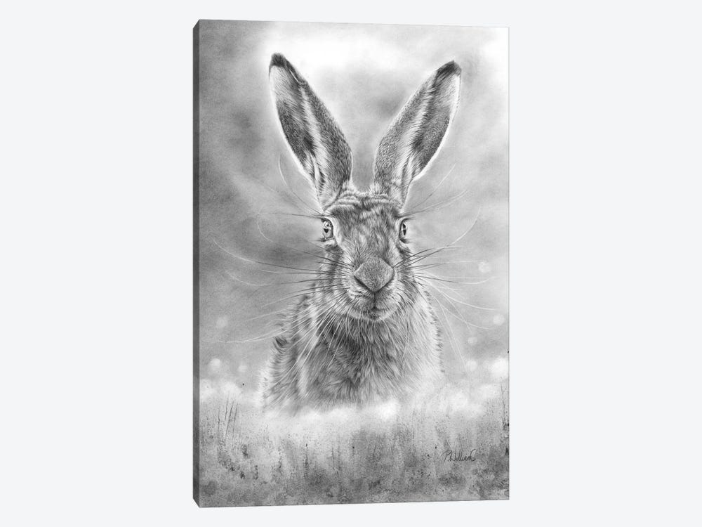 Spring Hare 1-piece Canvas Wall Art