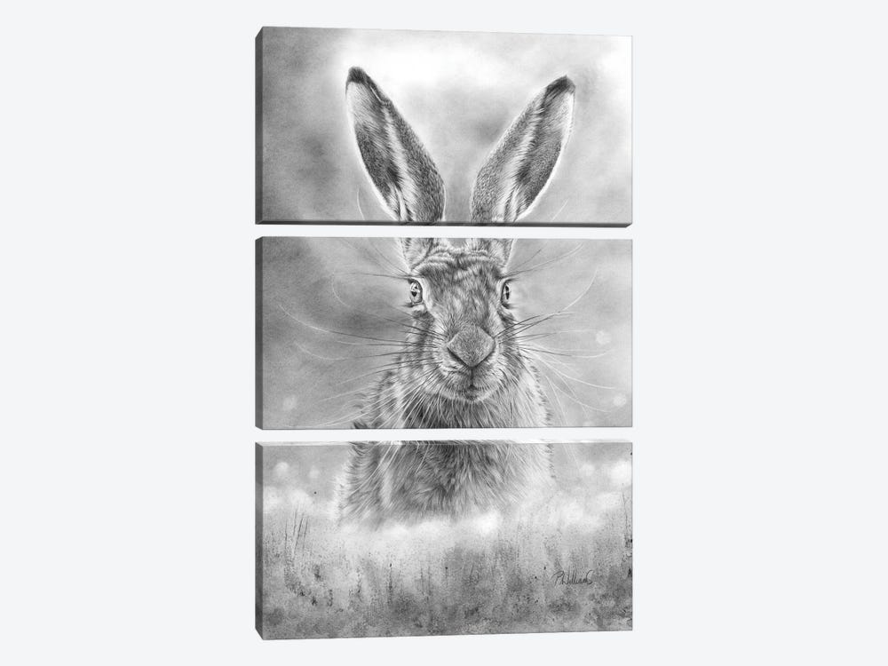 Spring Hare by Peter Williams 3-piece Canvas Artwork
