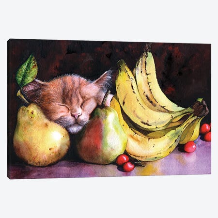 Still Life Canvas Print #PWI107} by Peter Williams Canvas Artwork