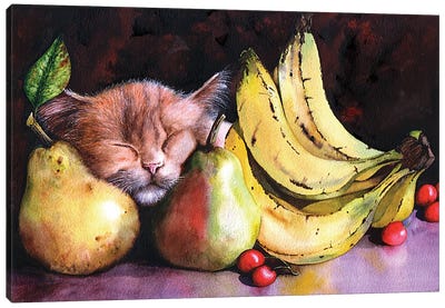 Still Life Canvas Art Print - Pear Art