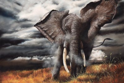 Approaching Menace II by Peter Williams canvas print