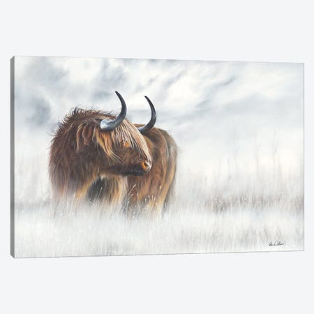 The Highlander Canvas Print #PWI113} by Peter Williams Canvas Wall Art
