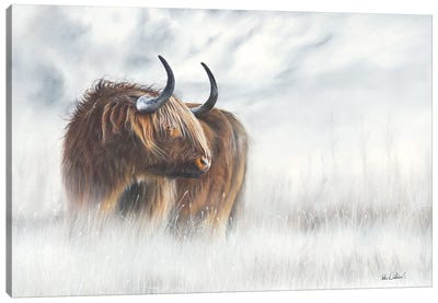 The Highlander Canvas Art Print - Highland Cow Art