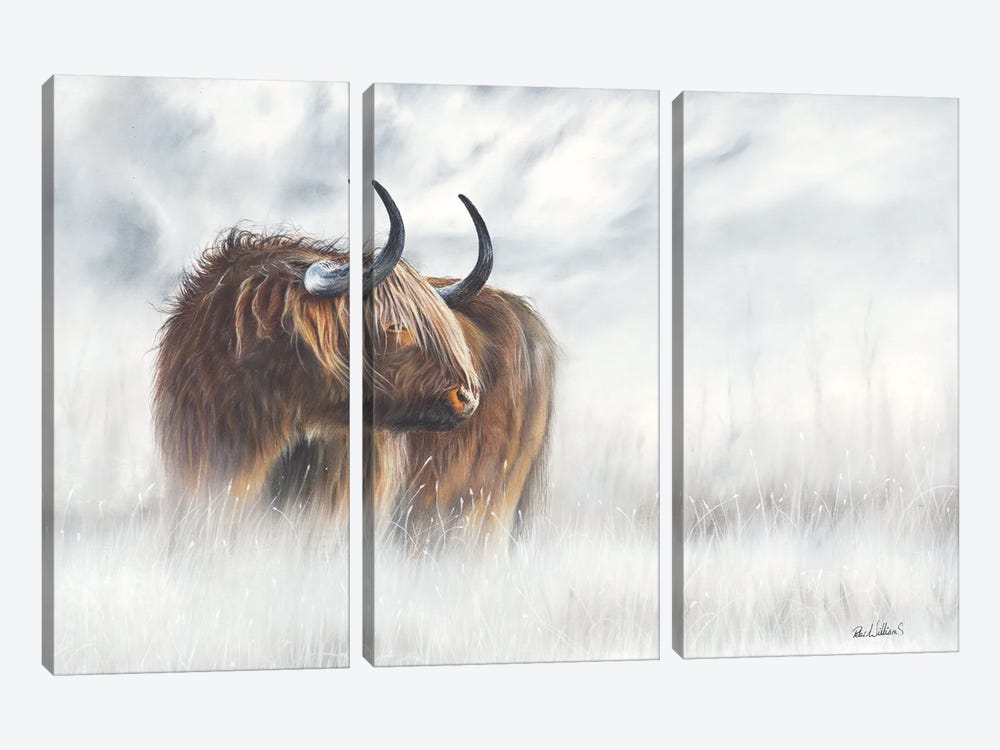 The Highlander by Peter Williams 3-piece Canvas Art