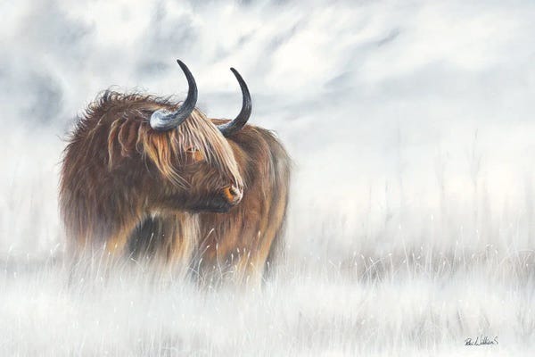 Mist & Fog: The Highlander by Peter Williams
