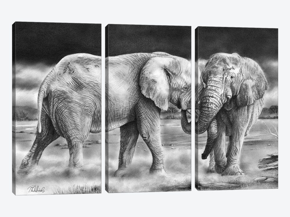 The Meeting by Peter Williams 3-piece Canvas Artwork