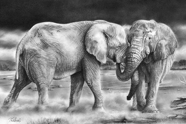 Peter Williams: The Meeting by Peter Williams