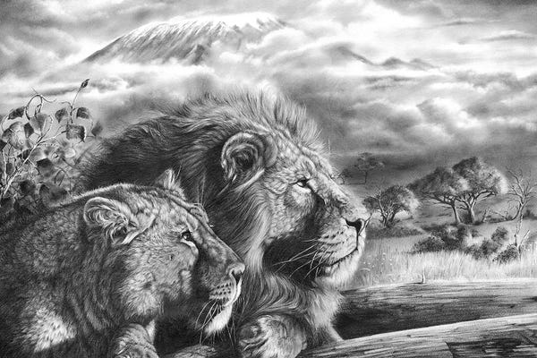 Tanzania: The Snows Of Kilimanjaro by Peter Williams