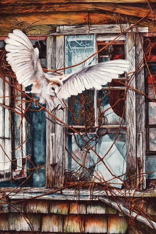 The Sound Of Silence by Peter Williams wall art