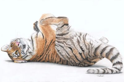 Tiger Feet by Peter Williams multi panel art