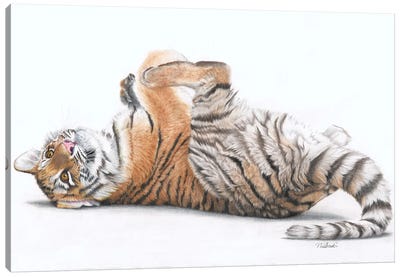Tiger Feet Canvas Art Print - Peter Williams