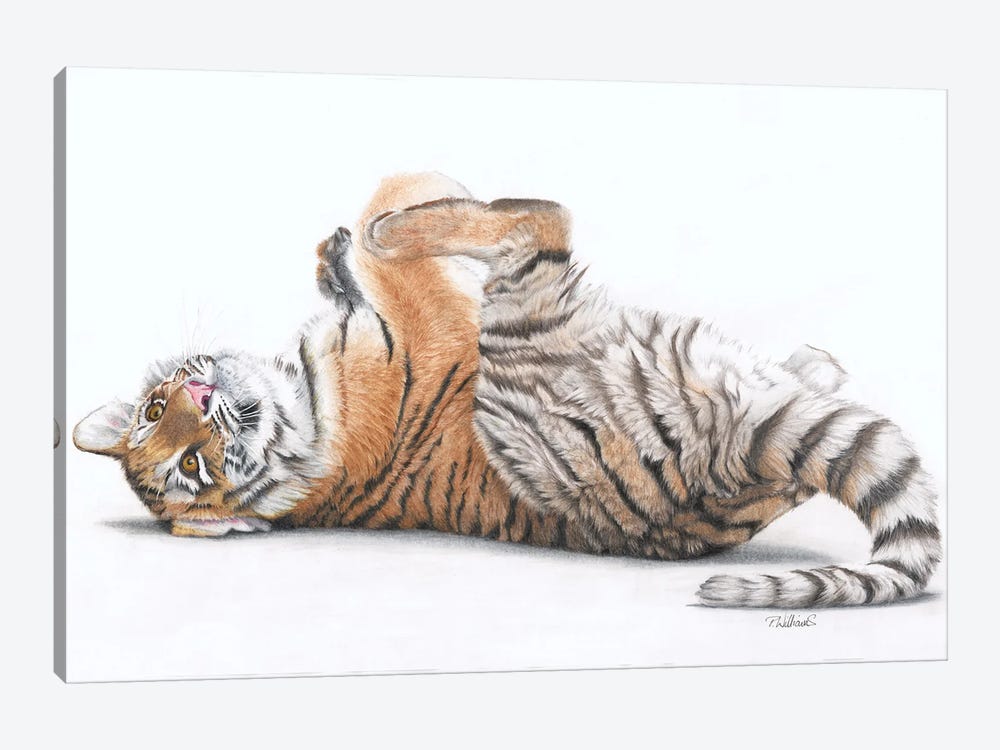Tiger Feet by Peter Williams 1-piece Canvas Art