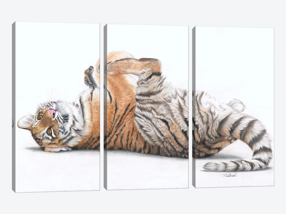 Tiger Feet by Peter Williams 3-piece Canvas Artwork