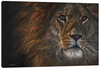 Valiant Canvas Art Print - Lion Art