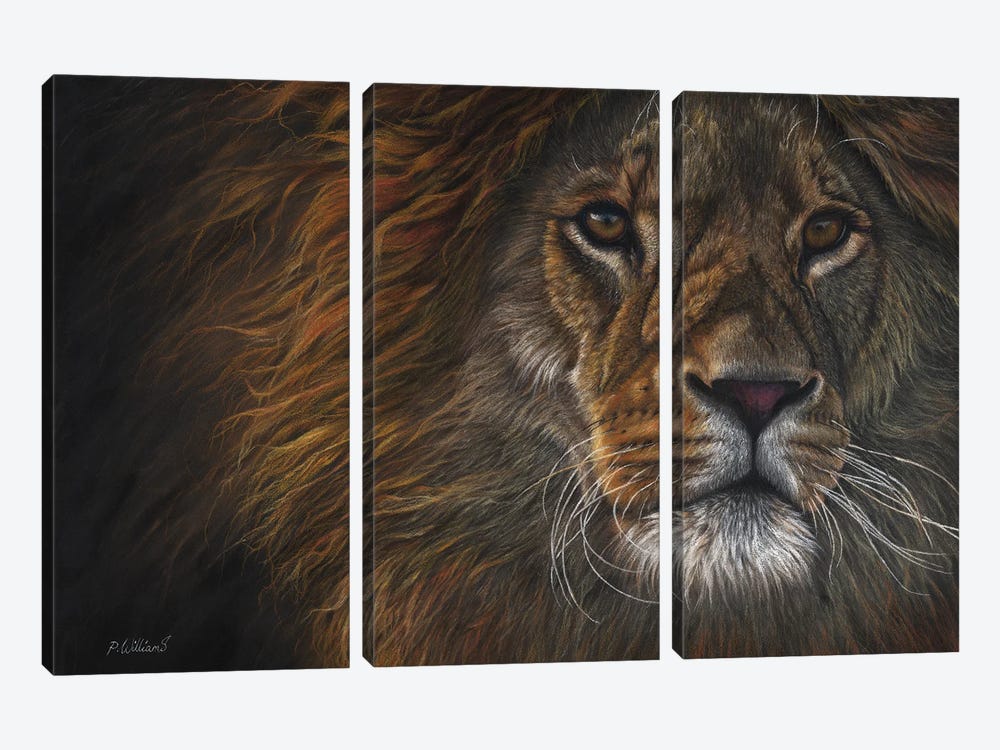 Valiant by Peter Williams 3-piece Canvas Artwork