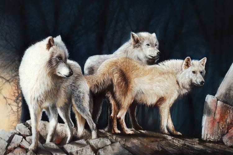 Vanguard by Peter Williams canvas print
