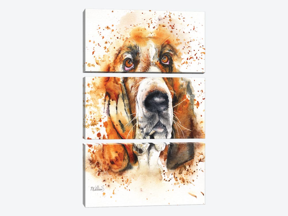 Wet Basset by Peter Williams 3-piece Canvas Print