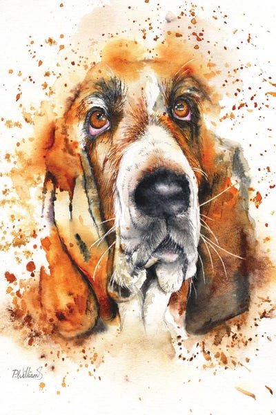 Basset Hounds: Wet Basset by Peter Williams