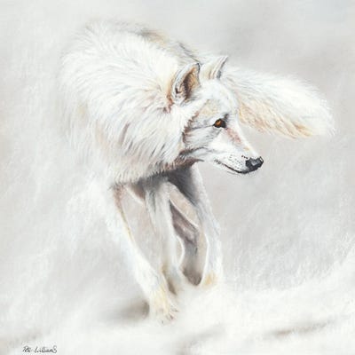 Whiteout by Peter Williams gallery poster