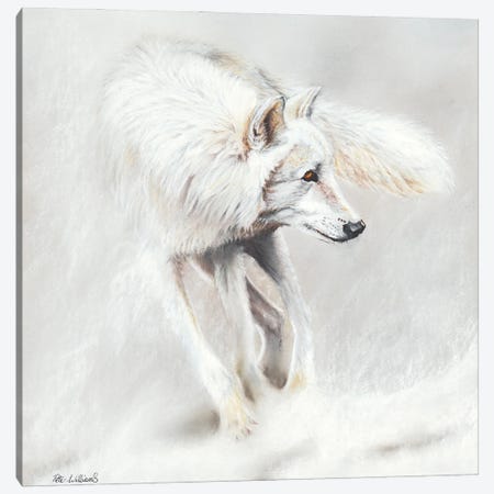 Whiteout Canvas Print #PWI130} by Peter Williams Canvas Artwork