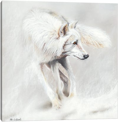 Whiteout Canvas Art Print - Peter Williams