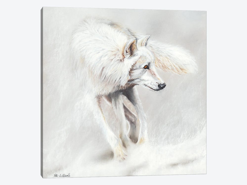 Whiteout by Peter Williams 1-piece Art Print