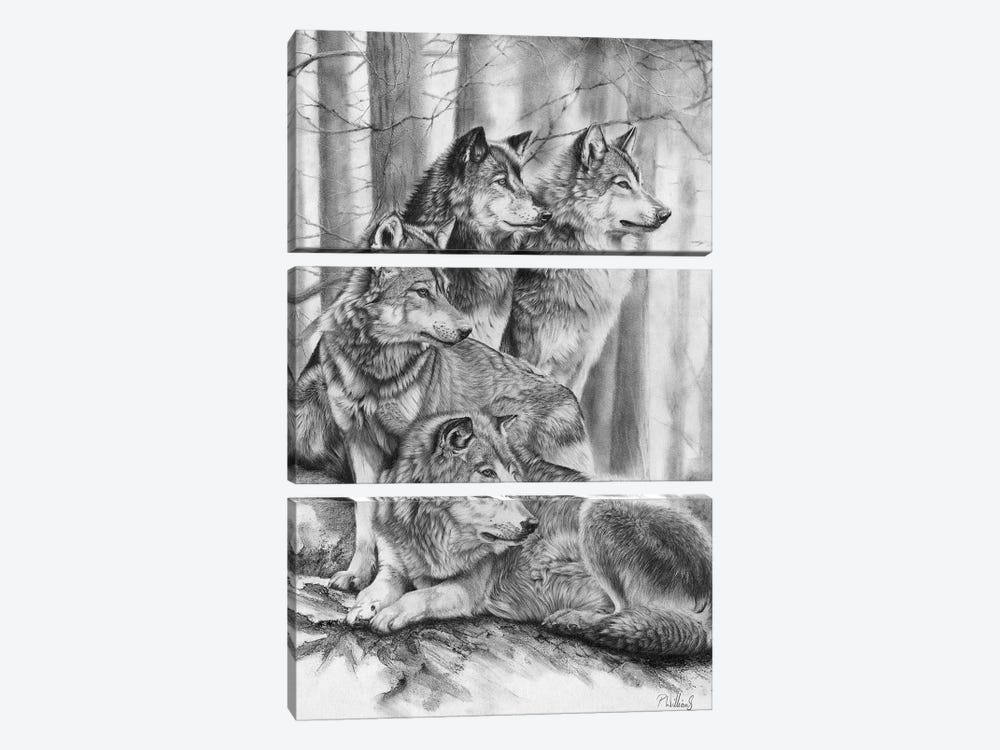 Wolf Pack by Peter Williams 3-piece Canvas Print
