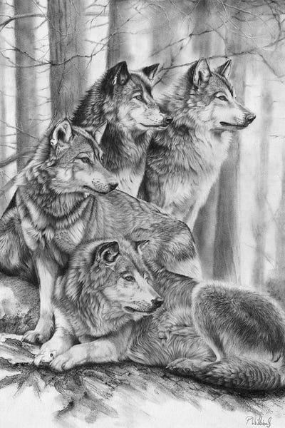 Native American Décor: Wolf Pack by Peter Williams