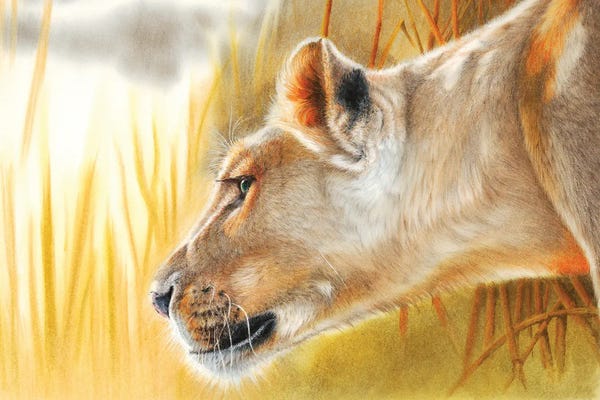 Panthers: African Queen by Peter Williams