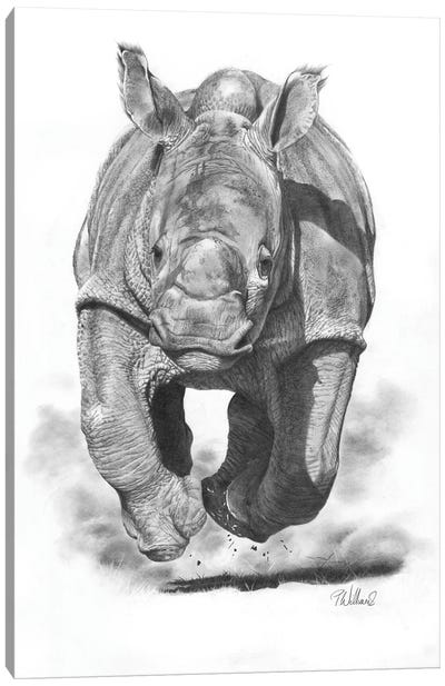 Airborne Canvas Art Print - Rhinoceros Art