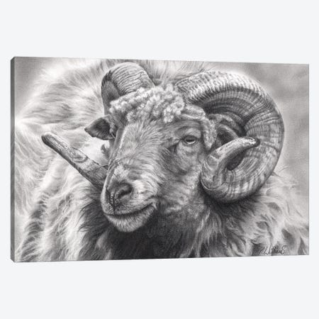 Aries Canvas Print #PWI137} by Peter Williams Art Print