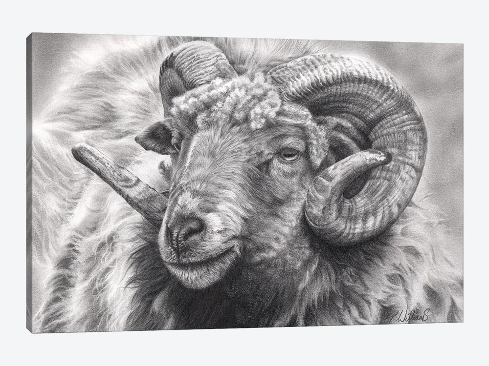 Aries by Peter Williams 1-piece Canvas Artwork