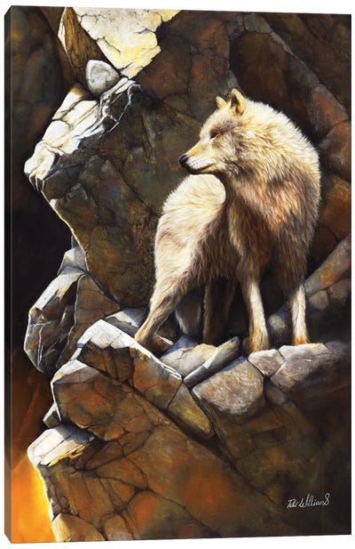 At The Edge Of Time Canvas Art Print - Wolf Art