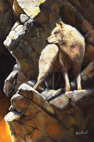 Wolves: At The Edge Of Time by Peter Williams
