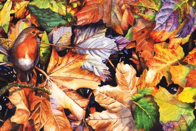 Autumn Blaze by Peter Williams canvas print
