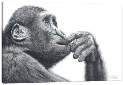 Brain Storm Canvas Art Print - Chimpanzee Art